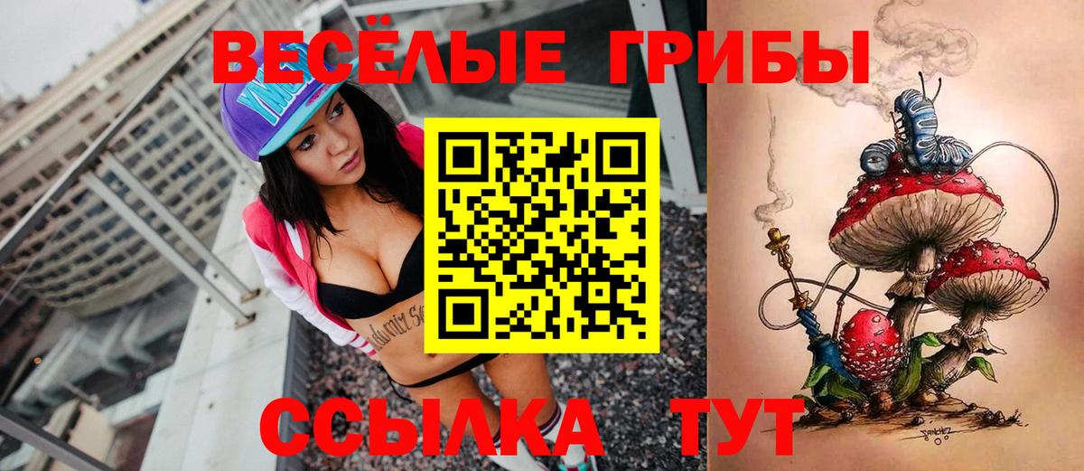 Галлюциногенные грибы Psilocybine cubensis Касимов