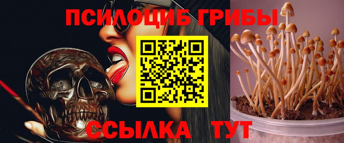 Галлюциногенные грибы мицелий  Вход с VPN  Касимов 